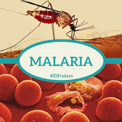 #IDFridays Malaria